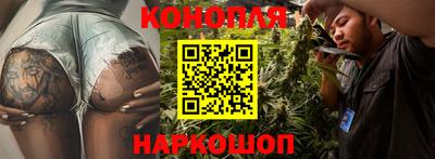 стаф Бийск