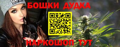 apvp Братск
