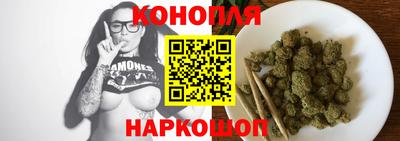 стаф Бийск